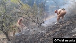 Зоминдаги ўрмон ёнғинини бартараф этишда иштирок этган ходимлар (ФВВ фотоси)