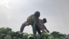 Kazakhstan – Farmers sort cabbage harvested from a field on the back of a truck in Zhetisai district. Turkestan region, 29Apr2020