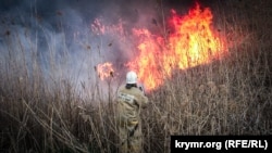 Пожар в камышах под Симферополем, апрель 201 год 